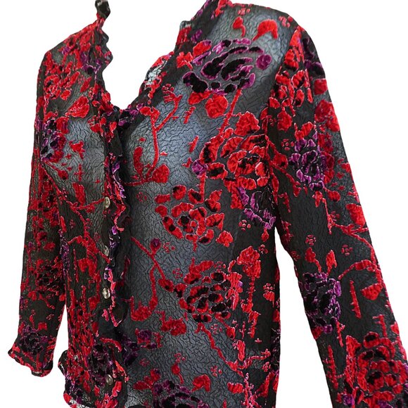 Vintage 90s Y2K Coldwater Creek Sheer VeLVeT BuRNouT Blouse Ruffles Whimsygoth - Picture 7 of 14